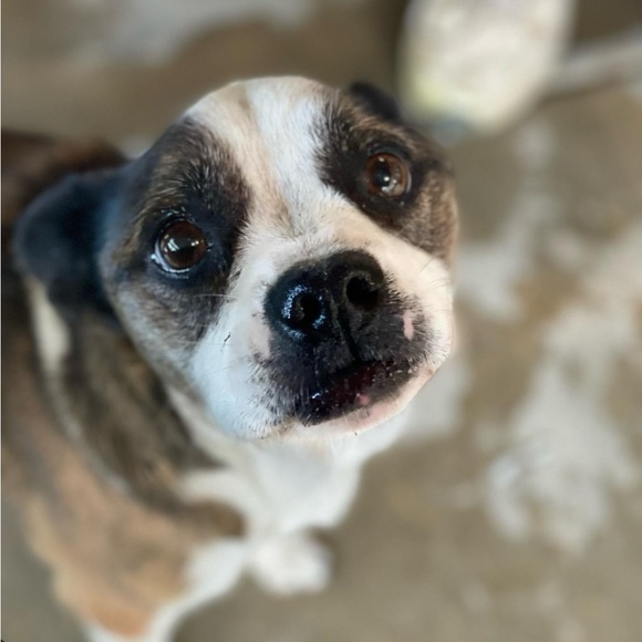 Meet your Posher, Helen - Picture 4 of 9